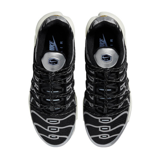 Nike Air Max Plus Toggle Black Silver FD0799-001