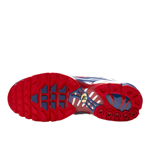 Nike Air Max Plus White Red Blue CJ9928-100
